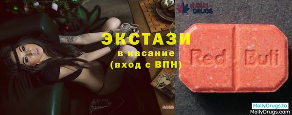 СК Новодвинск