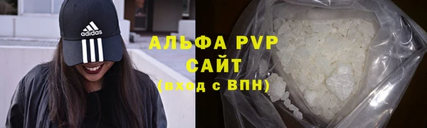 СК Новодвинск