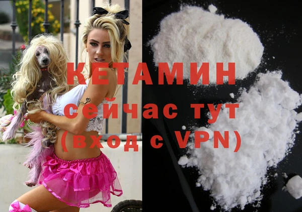 СК Новодвинск
