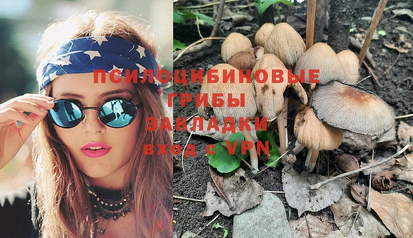ПСИЛОЦИБИНОВЫЕ ГРИБЫ Новокубанск