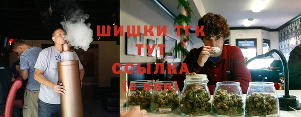 дмт Няндома