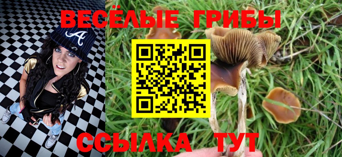 Аша  Псилоцибиновые грибы мухоморы  Вход с VPN 